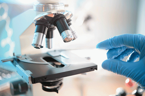 Detailed image of a hand wearing a blue surgical glove placing a glass plate onto the platform of a microscope. 